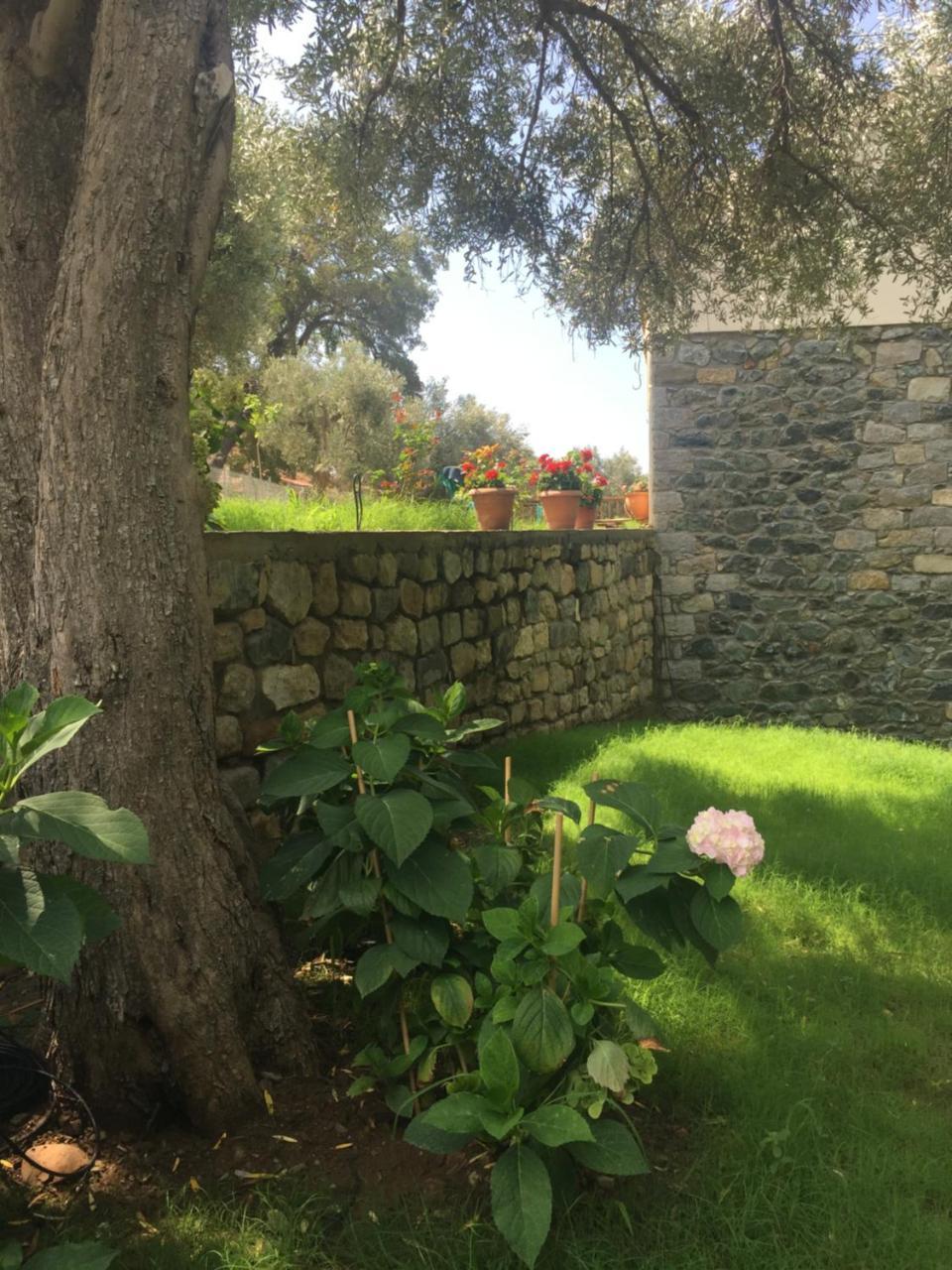 Samothraki Suites Kalisti Ξηροπόταμος Εξωτερικό φωτογραφία